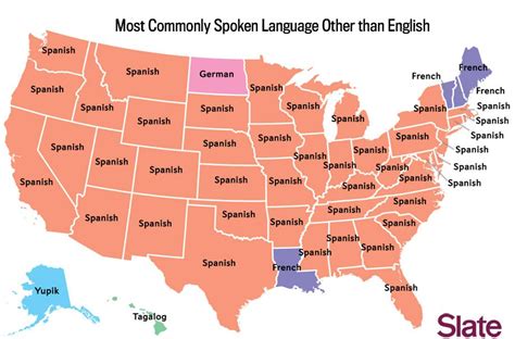 American Spoken Language in Real Life