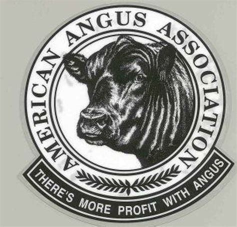 American angus assn. AMERICAN ANGUS HERD BOOK American Angus Association, 3201 Frederick Avenue, Saint Joseph, Missouri 64506 (816) 383-5100 Fax: (816) 233-9703 www.angus.org SEX DATE CALVED NAME OF ANIMAL PLEASE PRINT (Limit name to 28 spaces, including spaces between words.) 