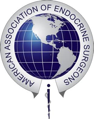 American association of endocrine surgeons. Things To Know About American association of endocrine surgeons. 