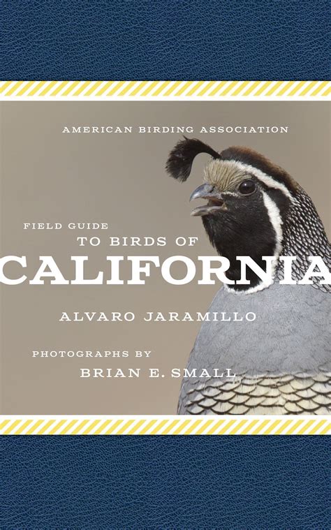 American birding association field guide to birds of california american birding association state field. - Z dziejów drukarstwa i piśmiennictwa na pomorzu.