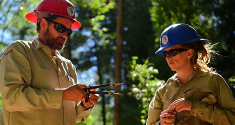 American conservation experience. Develop your crew leadership and chainsaw skills leading a group of motivated young adults on thinning projects on US Forest Service and US Park Service lands. Projects range in l 