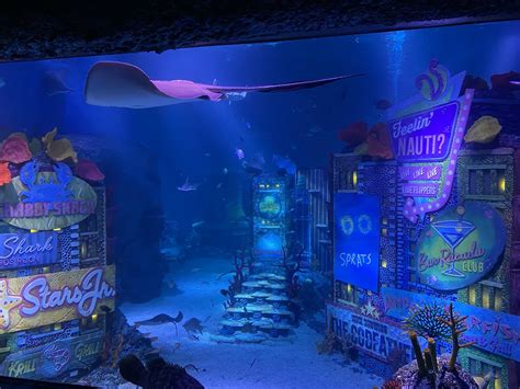 American dream aquarium. Come face to fin with 20 species with different colors and habitats, just like a real tropical ocean. Book your SEA LIFE New Jersey aquarium tickets now! 