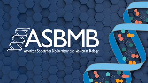 American society for biochemistry and molecular biology. Things To Know About American society for biochemistry and molecular biology. 