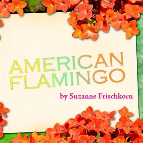 Read American Flamingo By Suzanne Frischkorn