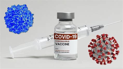 Americans can now get an updated COVID-19 vaccine to protect against new virus strains