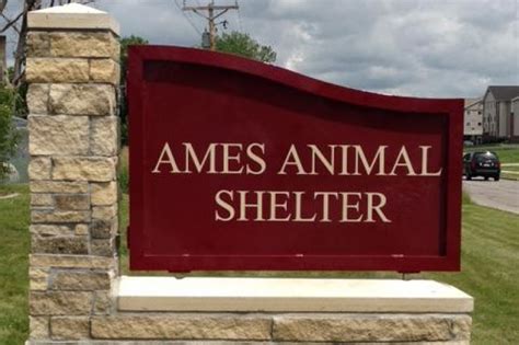 Ames animal shelter. The Ames Animal Shelter is a safe and humane place for the care of homeless, unwanted, lost, injured and many other animals, while owners are sought. Here, animals are sheltered in a clean and comfortable environment, and their individual nutrition and health needs are met. 