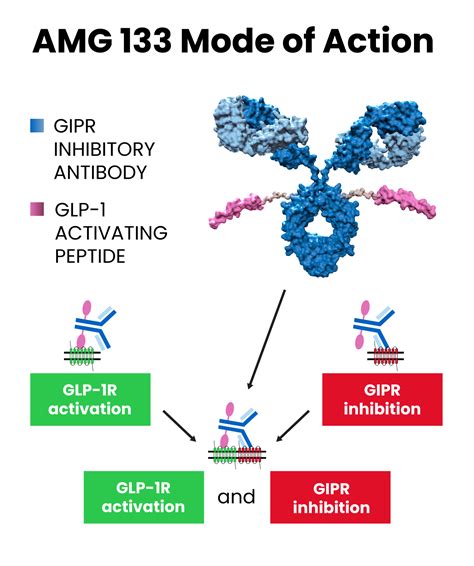 Amgen Presentatio