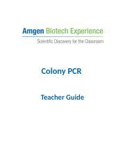 Amgen biotech experience teachers guide answers. - Musikalische semantik im werk gustav mahlers.