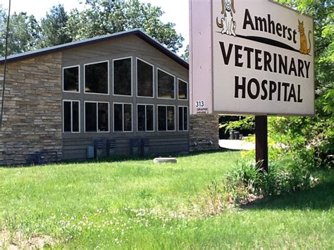 Amherst animal hospital. Things To Know About Amherst animal hospital. 
