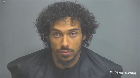 Amherst county jail mugshots. com provides regularly updated booking inf...