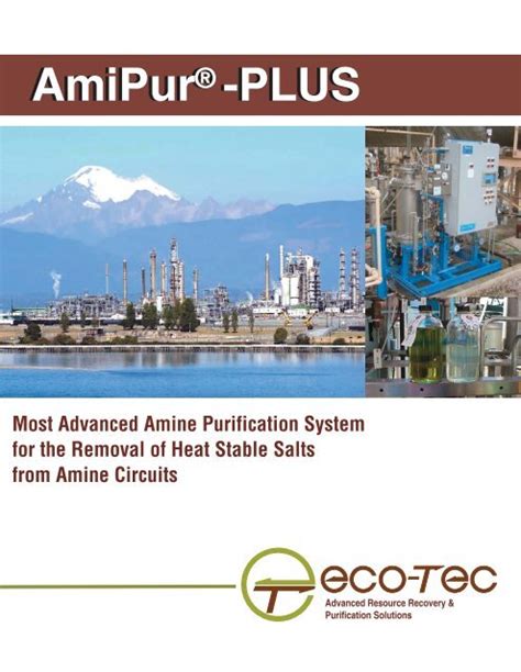 AmiPur Plus Full 0509