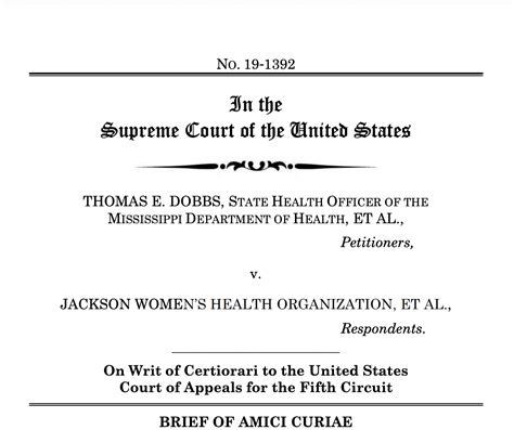Amicas v GMG Health 1st Cir 2012 software contract