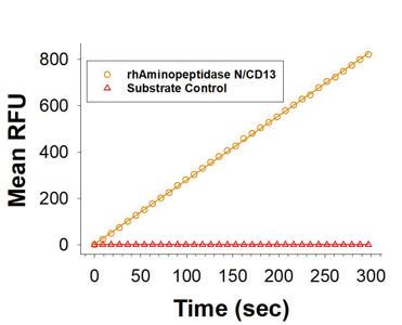 Aminopeptidase Biocompare