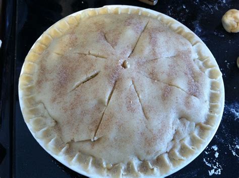 Amish Friendship Bread Pie Crust