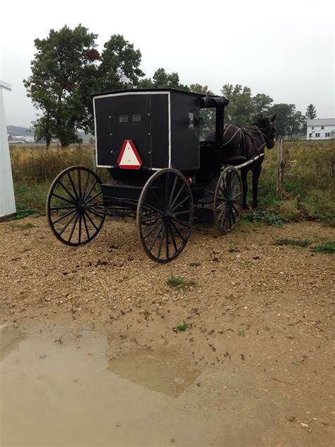 The Amish do not allow their pictures to be taken, leave the camera in the car. Supporting Documents. Greenhouses and Amish Community Map (3 MB) Upcoming Events. Tot Time. 05/01/2024 - 10:30am. Story Hour. 05/03/2024 - 10:00am. …. 