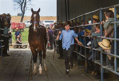 Amish horse auction 2023. Central Wisconsin Horse Sale, Neillsville, Wisconsin. 7,090 likes · 6 talking about this · 45 were here. 2 day horse sale,Clark county fairgrounds ,Neillsville Wi . JUNE 3RD & 4TH,2020 . Wed... 