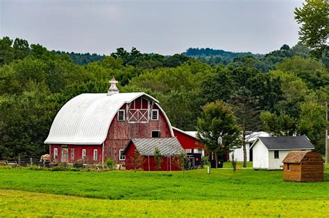 Amish in wisconsin. Things To Know About Amish in wisconsin. 