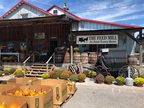 Find 34 listings related to Amish Farmers Market in Ocoee on YP.com. See reviews, photos, directions, phone numbers and more for Amish Farmers Market locations in Ocoee, TN.. 