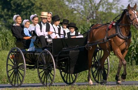 Amish pics
