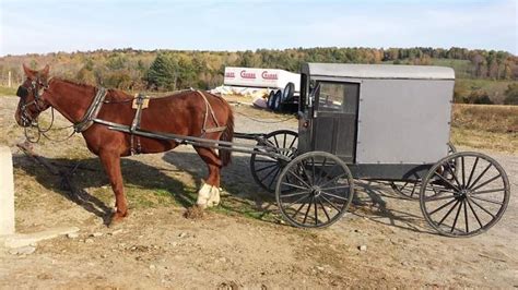 Amish. Communities embracing this old world lifestyle are becoming more common in the Crown of Maine in recent years. Two of the largest are located the towns of Smyrna and Easton which fall in Southern and …. 