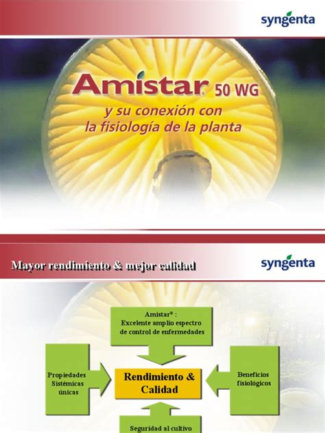 Amistar PDF