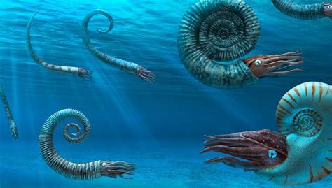 Aug 27, 2022 · The Ammonite, at max level, gives a +2 speed and +2 def per LEVEL of FISHING and MINING. that means at level 50 mining and 50 fishing the pet gives you 200 Def, and 200 SPEEEEEEEED, this pet is one of the best going from place-to-place pets in the game. . 