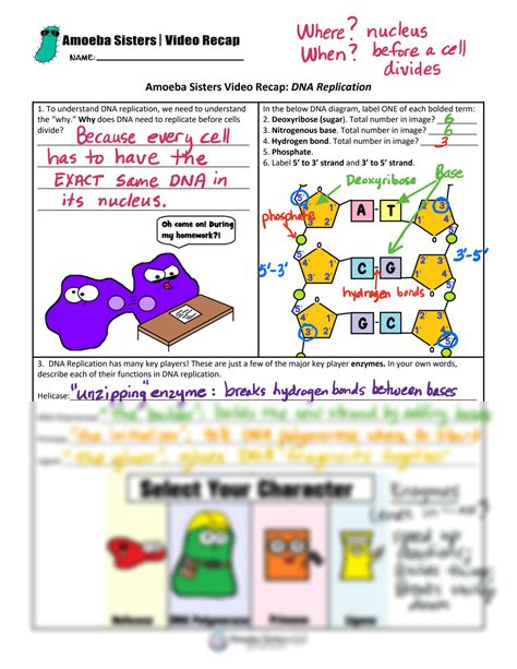Amoeba sisters answer key. Things To Know About Amoeba sisters answer key. 
