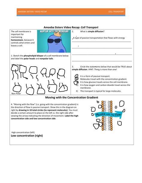 Jan 9, 2019 - All handouts are recaps of our videos. They make great exit ticket activities so that every minute of class time is valuable, and they can supplement .... 