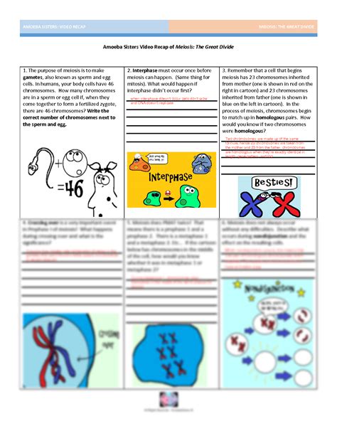 Amoeba sisters meiosis. Handouts created by the Amoeba Sisters that correspond to Amoeba Sisters videos. The handouts are application oriented and supplemental to the more important thing like creating in the classroom and hands on labs. 