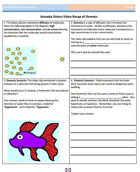 Amoeba sisters stroll through the playlist worksheet answers. ⭐ ⭐ ⭐ ⭐ Digital and Printable! Key Included! This video handout is for the Cell Cycle video made by The Amoeba Sisters and hosted on YouTube. This handout was not made by the Amoeba Sisters. These handouts, made by Science Is Real, are designated for standard and lower-level biology students. 