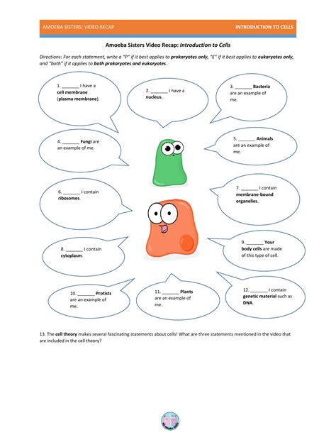 Amoeba Sisters Intro To Cells - Vldxoc.mercuryrp.de. Introduction to Cell Theory-Amoeba Sisters by Julia Muglia 5.0 (2) $1.50 PDF This worksheet has 15 questions that go in order of the Amoeba Sister, Introduction to Cell Theory, video.It is a combination of free response, true/false and labeling.. 