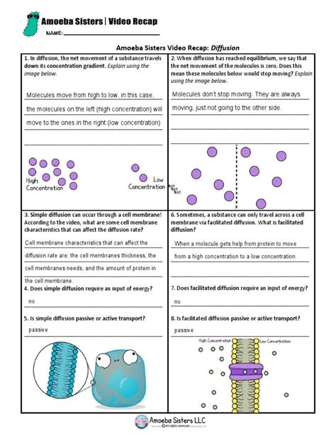 Amoeba Sisters Video Recap Diffusion Anwers - Displaying top 8 worksheets found for this concept.. Some of the worksheets for this concept are Amoeba sisters video recap, Amoeba sisters answer key, Moving with the concentration gradient, Amoeba sisters meiosis work answers, Amoeba sisters cell transport answer key, Amoeba sisters meiosis work answers, Amoeba sisters meiosis answer key, Amoeba .... 