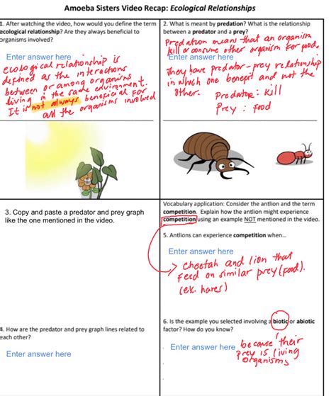 Amoeba Sisters Ecological Relations Key Some of the worksheets for this concept are ameba Sisters video recaps amoeba Sisters video recap amoeba Sisters meiosis answer key pdf ameba Sisters answer key 7 3 protect biodiversity work answers affiliates and web student job creation of chains and b c a d tin b.. 