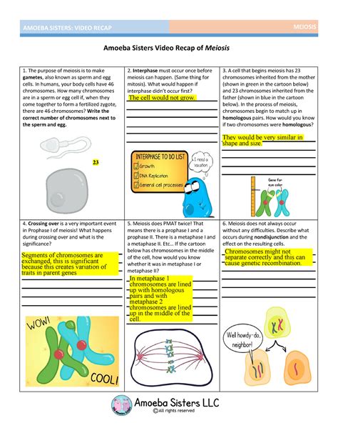 This is a zip folder that contains: 1. a two page select PDF handout (can be printed from and back if desired) that corresponds to our Amoeba Sisters Mitosis vs. Meiosis Side by Side Comparison video on YouTube and 2. a corresponding answer key What should I know about this Amoeba Sisters select handout?. 