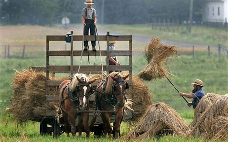 Amos miller farm. Amos Miller, an Amish farmer in Pennsylvania, has become a flash point in America's culture wars. Conservatives have been building support for Miller ahead of his February 29 hearing in a lawsuit ... 