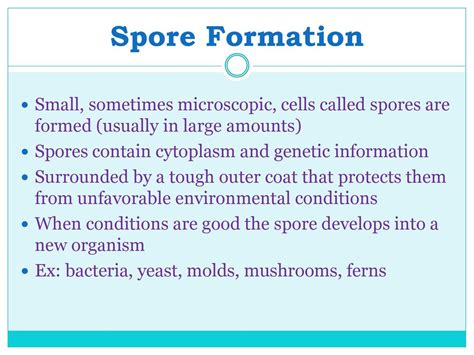 Amount of Spore