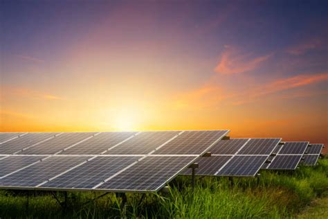 Amp Energy commissions 13.5 MW open-access solar project in …