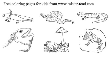 Dinosaur Coloring Pages Jurassic World