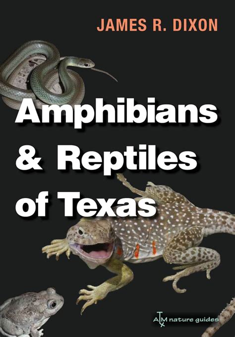 Download Amphibians And Reptiles Of Texas With Keys Taxonomic Synopses Bibliography And Distribution Maps By James R Dixon