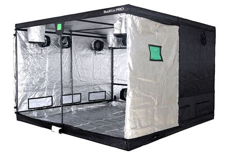 Ample Space: Mastering Growth with the 10x10 Grow Tent Kit