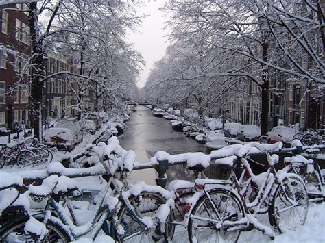 Amsterdam hava durumu şubat 2020
