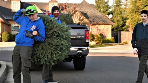 Amsterdam offers curbside Christmas tree pickups