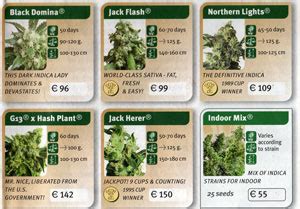 Amsterdam seeds.  Buy &ndash; Feminized Cannabis Seeds | Feminized seed | Feminized Marijauna See...