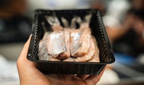 Amsterdamse Haring Proeven Vraag ernaar