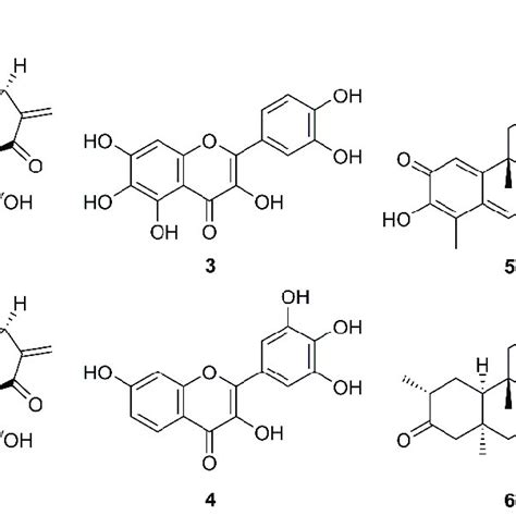 An Acetylated Triterpene Glycoside and Lignans From Phyllanthus