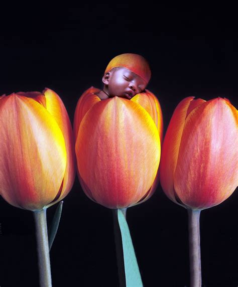 An Anne Geddes style image capturing a small ether.