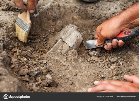 An Archaeologist Working on a Dig