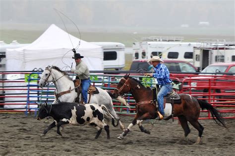 An Arctic Rodeo