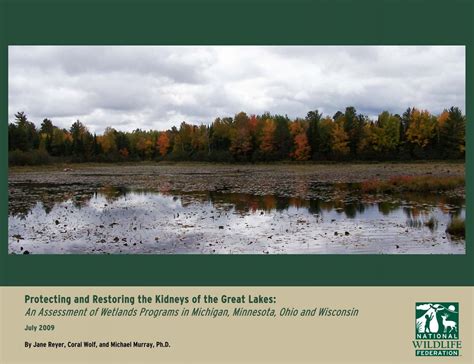 An Assessment of Wetlands Programs in Michigan - National ...