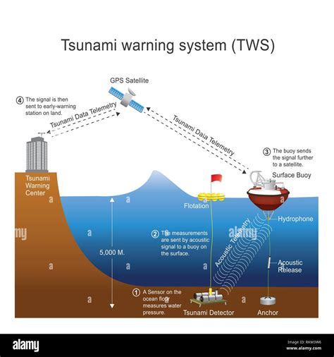 An Automated Tsunami Alert System